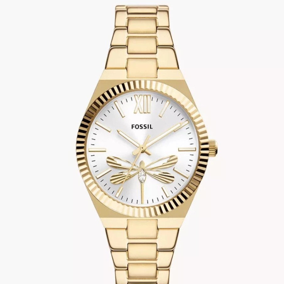 Women Fossil | Es5262