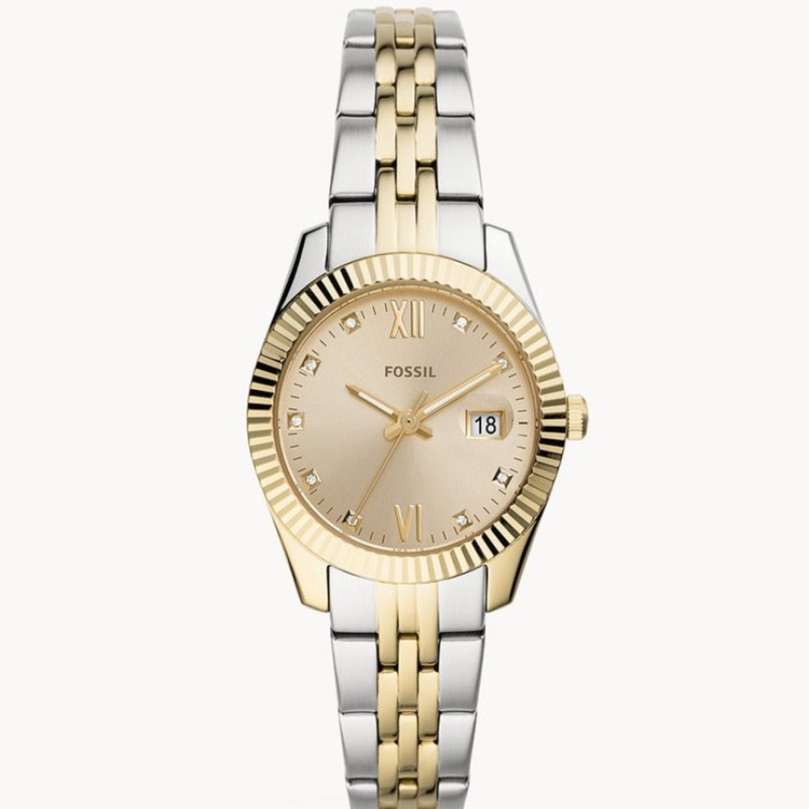 Women Fossil | Es4949